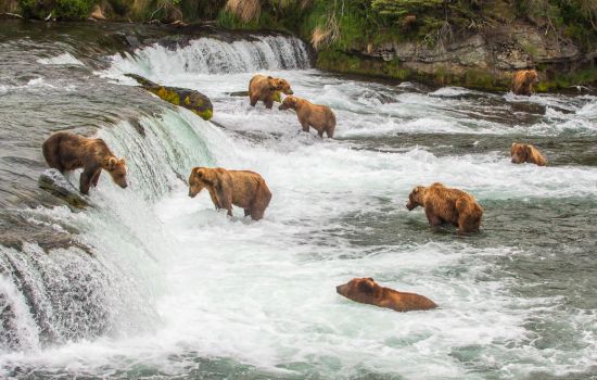 Katmai National Park