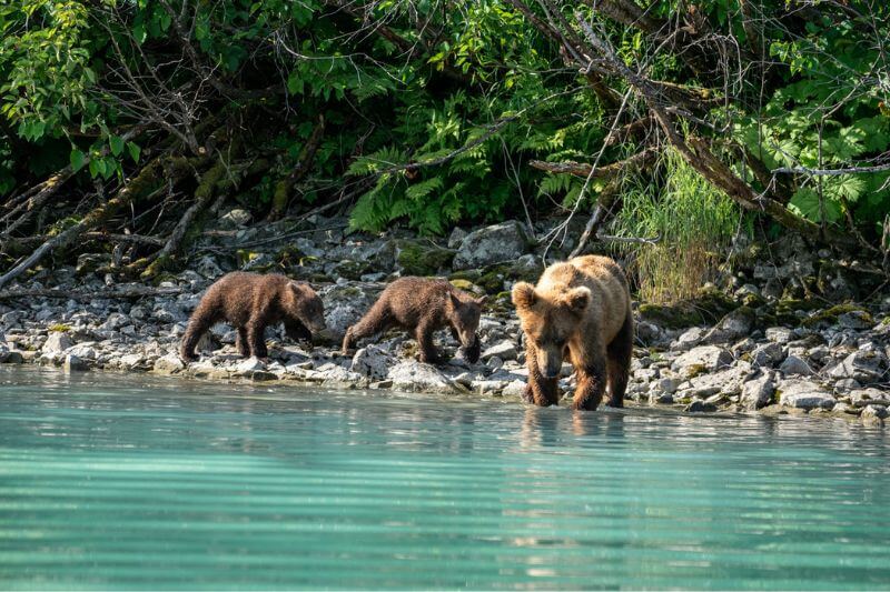 Lake Clark National Park