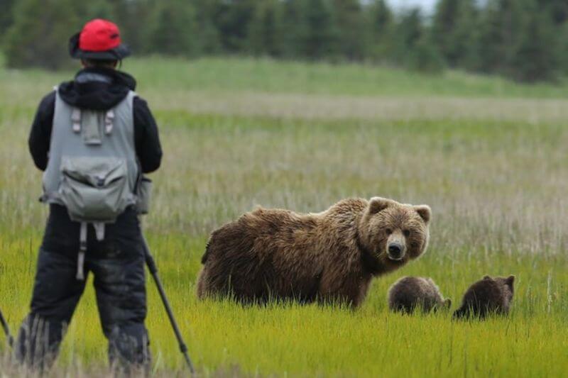 Lake Clark National Park