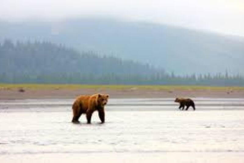 Lake Clark National Park