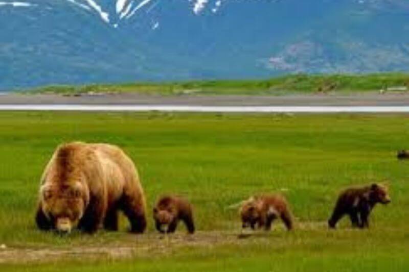 Lake Clark National Park