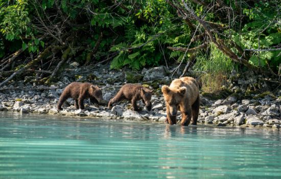 Lake Clark National Park