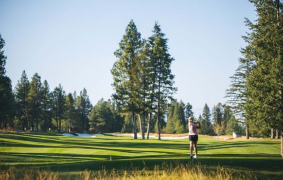 Experience Golf at Its Finest: Kimberley's Premier Courses