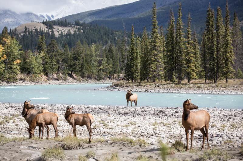 Explore Eastern Canada’s Best: Iconic Landmarks, Scenic Beauty, & Adventure 