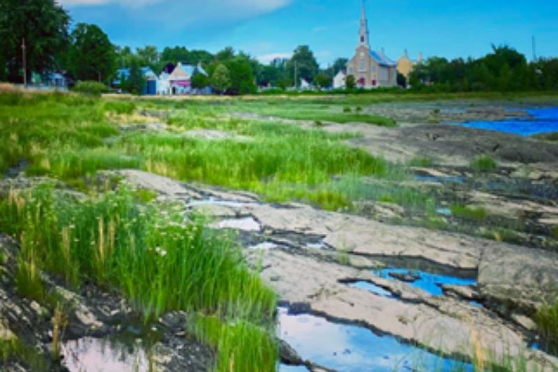 Private Île d'Orléans Tour: Wine, History & Beauty