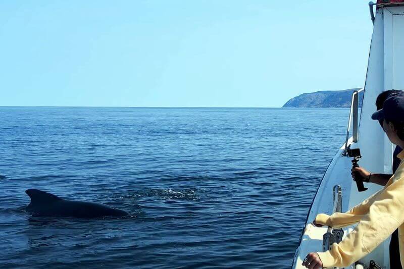 Explore Iconic Sites and Coastlines on the Cabot Trail