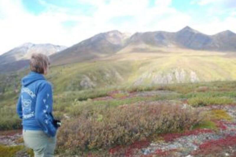 Cross the Arctic Circle on a Yukon Journey