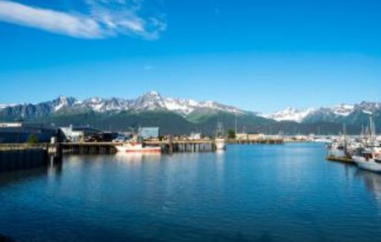 Explore Alaska: Fjords, Peaks, and Wildlife