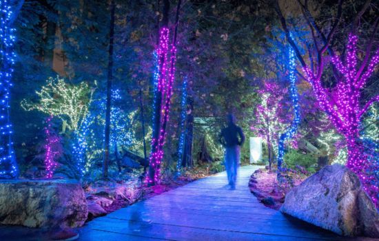 Christmas Glow Vancouver Highlights & Canyon Lights!