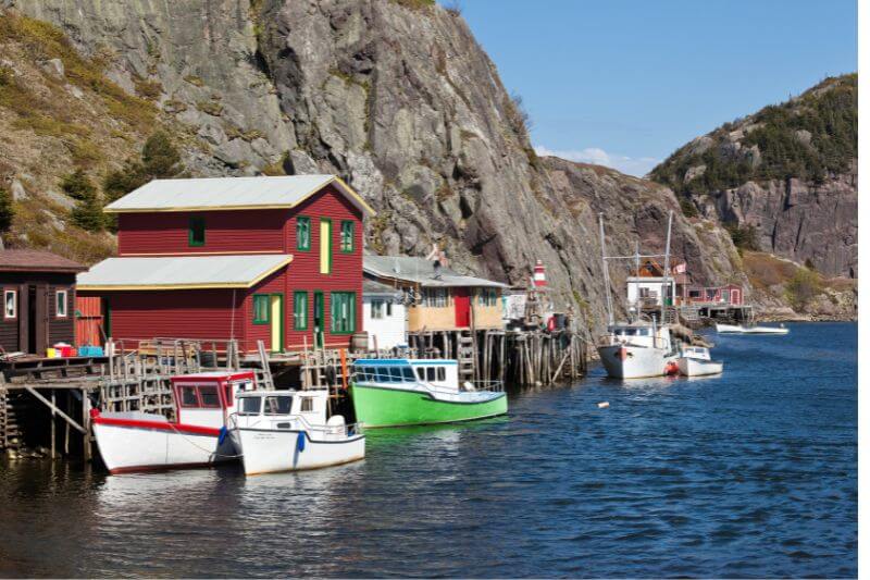 Newfoundland’s Best: Iconic Self-Drive Journey