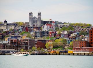 Newfoundland’s Coastal Wonder Awaits