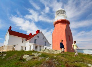 Newfoundland’s Coastal Wonder Awaits