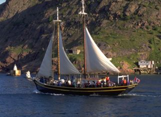 Newfoundland’s Coastal Wonder Awaits