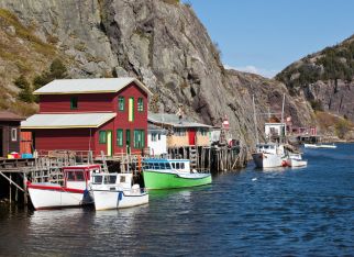 Newfoundland’s Coastal Wonder Awaits