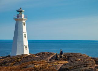 Newfoundland’s Coastal Wonder Awaits