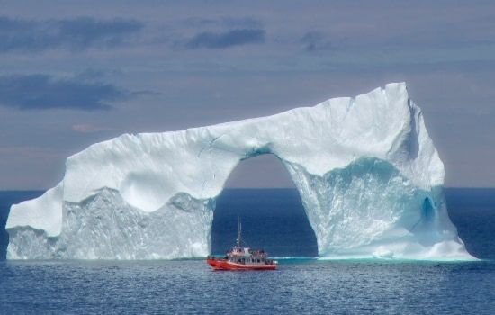 Newfoundland’s Coastal Wonder Awaits