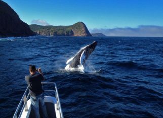 Newfoundland’s Coastal Wonder Awaits