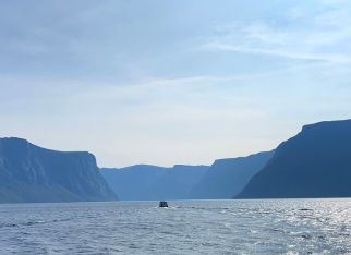 Newfoundland’s Coastal Wonder Awaits