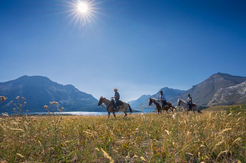 Glacier to Waterton: Iconic Self-Drive Adventure