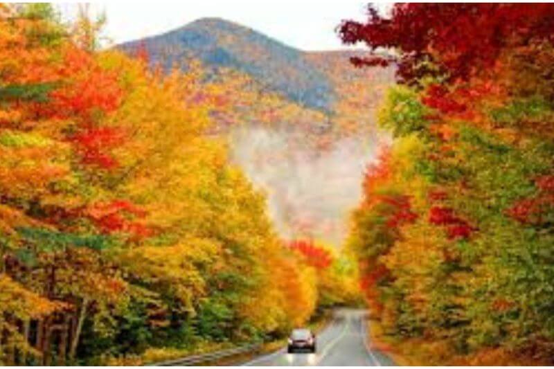 Journey Through New England’s Best Fall Drives