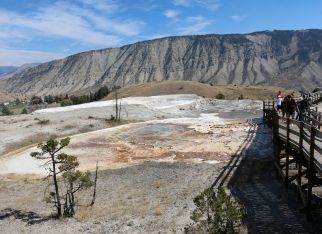 Ultimate Escapade: Yellowstone & Teton Adventures