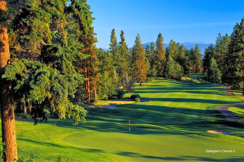 Okanagan Luxury Golf & Wine Tour