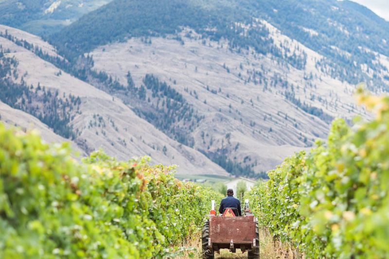 Okanagan Luxury Golf & Wine Tour