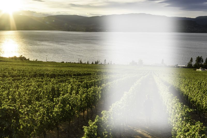 Okanagan Luxury Golf & Wine Tour