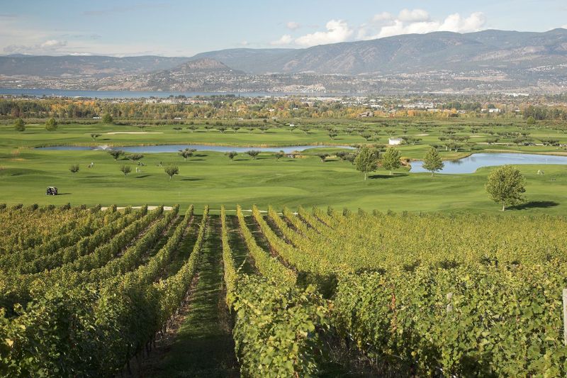 Okanagan Luxury Golf & Wine Tour